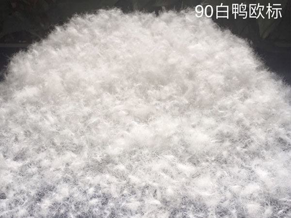 羽絨服面料用新雪麗棉好還是羽絨好？看完就知道了